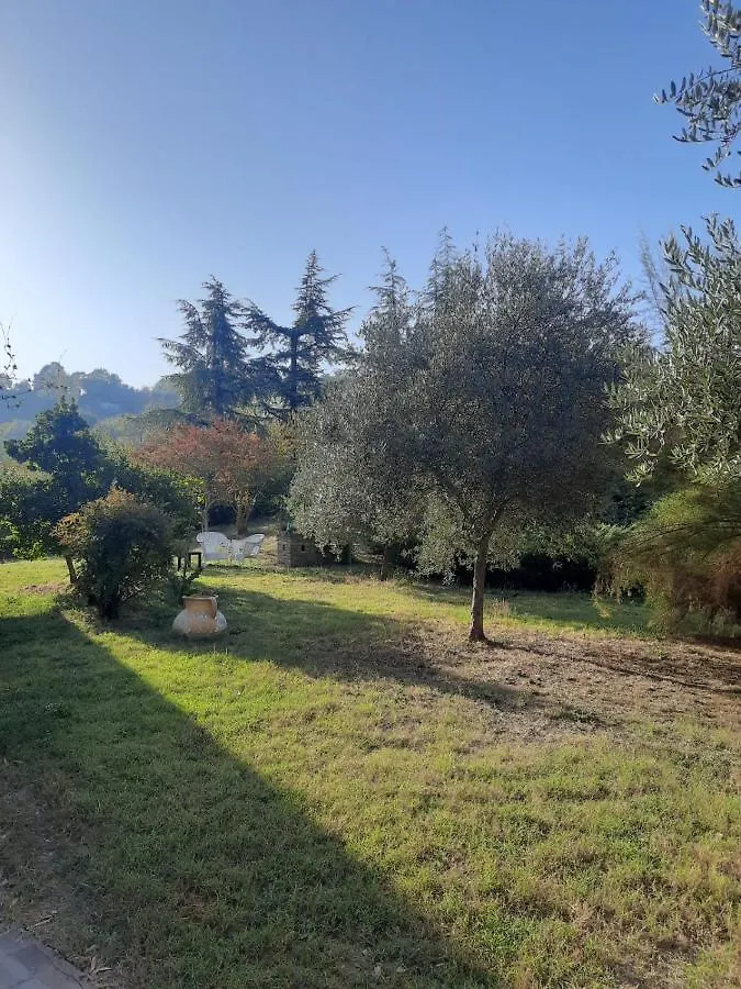 Bed & Breakfast B&B Santa Chiara Il Poggio